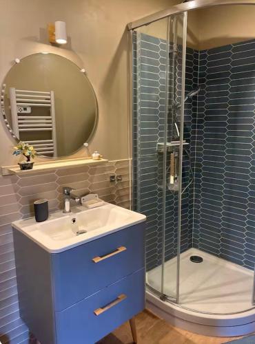 une salle de bain avec un lavabo et une douche en verre dans l'établissement Château de Rivoiranche, à Saint-Paul-lès-Monestier