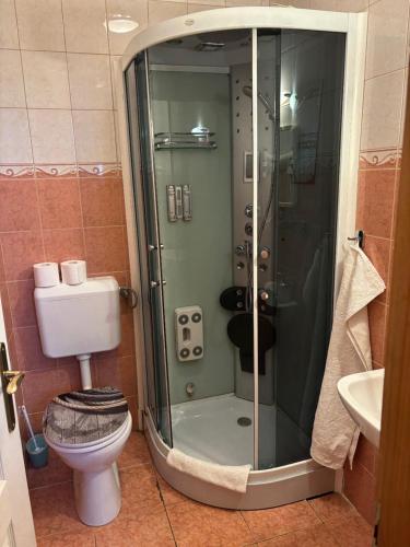 a bathroom with a shower with a toilet and a sink at Lóbarát Panzió in Cserszegtomaj