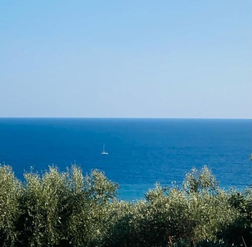 Φυσικό τοπίο κοντά σε αυτή η παραθεριστική κατοικία