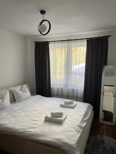 Ένα ή περισσότερα κρεβάτια σε δωμάτιο στο Apartament Dor de Munte Cavnic
