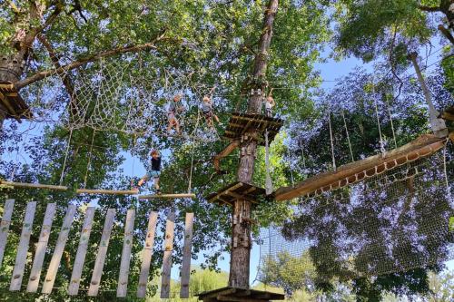 a group of people on a tree swing at Camping Bela krajina - Pitches in Gradac