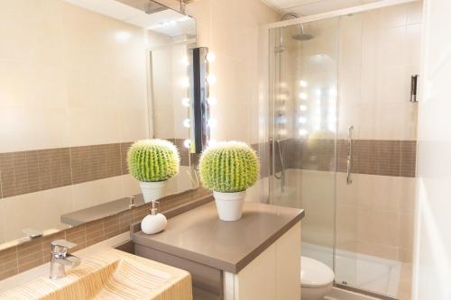 a bathroom with two potted plants on a counter at Sopranis by Gades Gestión in Cádiz