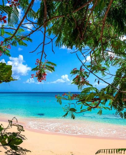 Paradise Townhome on Mullins Beach