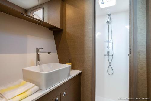 une salle de bain avec un lavabo et une douche dans l'établissement Croisière Privée sur le trimaran TRIKALA, à La Grande Motte