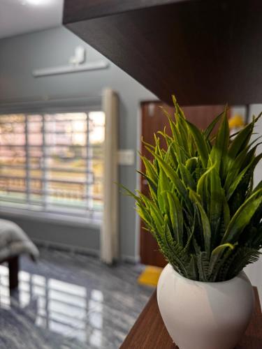 a plant in a white vase sitting on a table at Budha Home Stay in Hampi