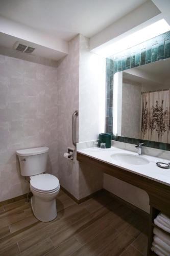 a bathroom with a toilet and a sink and a mirror at The Yankee, Trademark Collection by Wyndham in Lenox