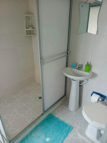 a bathroom with a shower and a sink and a toilet at FINCA LA BENDICION in Santa Rosa de Cabal