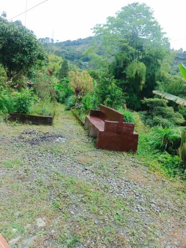a couch sitting on the ground in a field at FINCA LA BENDICION in Santa Rosa de Cabal