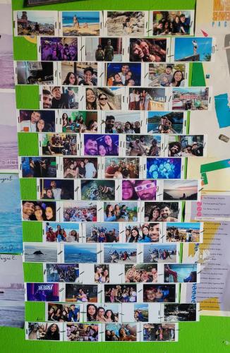 a collage of photos hanging on a wall at Casa Kraken Hostel in Puerto Vallarta