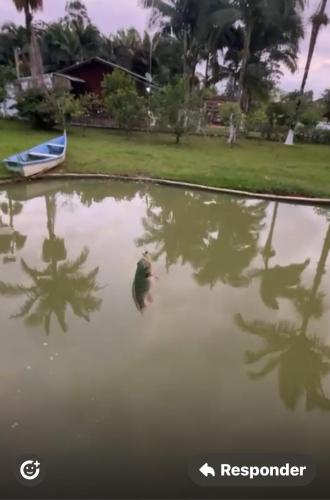 Landskap semula jadi dekat dengan rumah percutian
