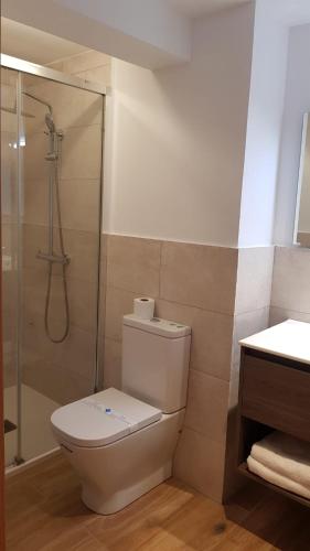 a bathroom with a toilet and a shower at Apartament FREIXE de Molló Parc in Molló