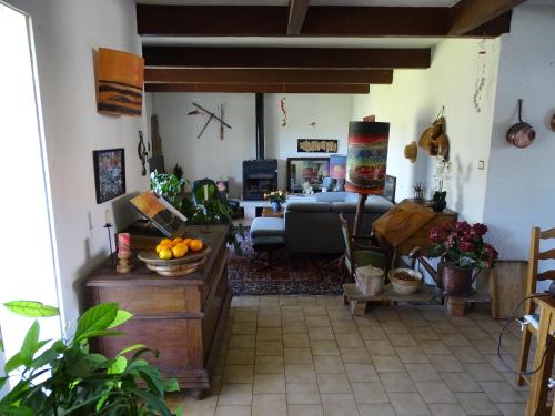un salon avec un canapé et une table dans l'établissement Longère de charme avec studio idépendant entre cèze et cevennes, à Saint-Ambroix