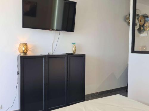 Studio 4 couchages CAP D'AGDE CT800-070