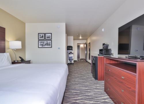 Cobblestone Hotel & Suites - Rhinelanderにあるテレビまたはエンターテインメントセンター