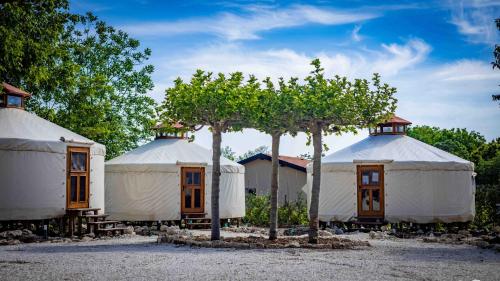 Юртов лагер Наедно