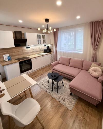 Apartment R&L Lazovná Apt 2 - city centre and free private parking