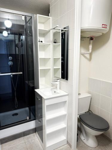 une salle de bain avec une douche, des toilettes et un lavabo dans l'établissement Cozy nest sea view, à Les Sables-dʼOlonne