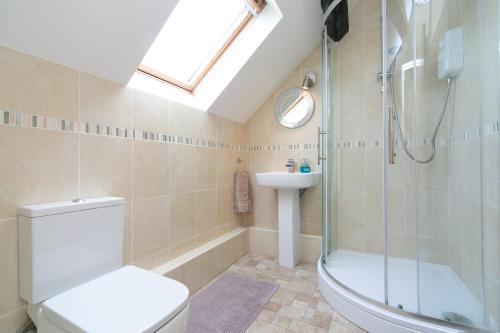 a bathroom with a shower and a toilet and a sink at Harrison's Cottage in Llandegla