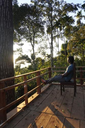 Balkoni atau teres di Camptop Munnar