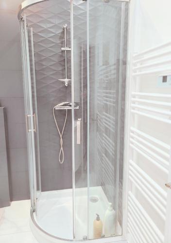 une douche avec une porte vitrée dans une salle de bain dans l'établissement Le Cocon Palmier, à Vitré