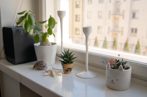 a counter with potted plants on a window sill at Giraffe Loft in Helsinki