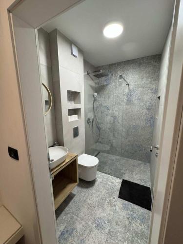a bathroom with a shower and a toilet and a sink at Matea Apartment in Čitluk
