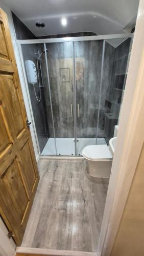 ein Badezimmer mit Dusche und Toilette in der Unterkunft North Wales Cosy Cottage with views near Eryri Snowdonia in Nantlle