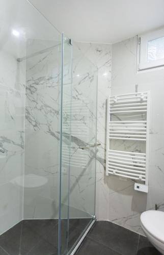 a bathroom with a glass shower and a sink at Hôtel Léonard de Vinci II in Paris