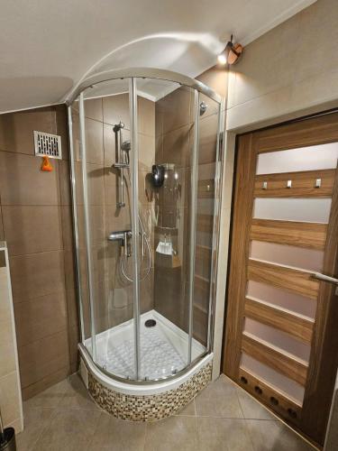 a shower with a glass door in a bathroom at Oficyna Form - Apartament Dwupoziomowy in Elblag