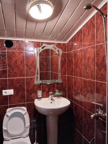 a bathroom with a sink and a toilet and a mirror at Villa Vanila in Kutaisi