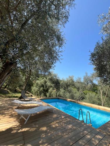 Πισίνα στο ή κοντά στο Podere Il Piantoneto