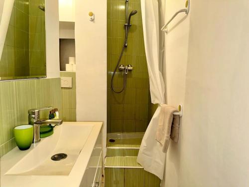 une salle de bain avec un lavabo et une douche dans l'établissement GALLIENI - Cozy studio in Nice city center, à Nice
