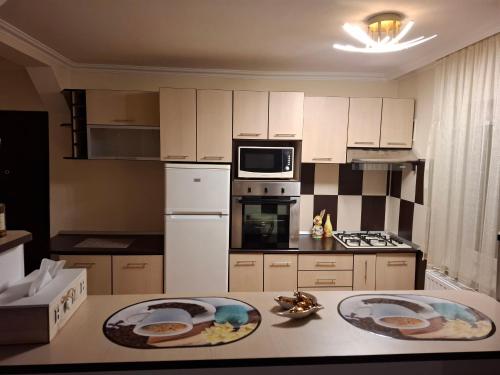 Apartament Smaraldにあるキッチンまたは簡易キッチン