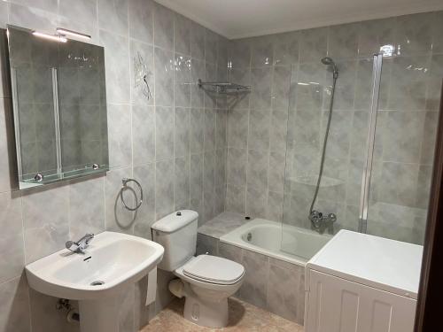 a bathroom with a toilet and a sink and a shower at Apartamento Cholo in Brañosera