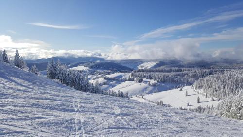 a snow covered slope with trees and mountains in the background at Wanderlust in Todtnau
