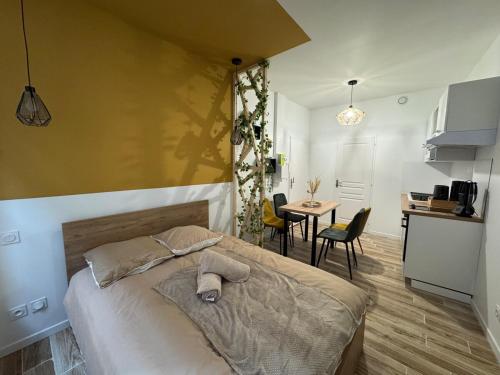 Studio hyper centre le Cosy