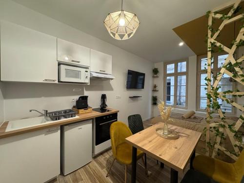 Η κουζίνα ή μικρή κουζίνα στο Studio hyper centre le Cosy