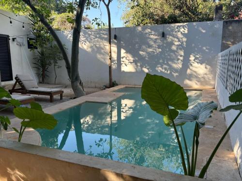 a swimming pool in the backyard of a house at Casa Ramona in Mérida