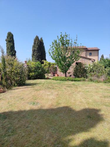 a large yard with a house and a tree at PassionToscane in San Giovanni dʼAsso