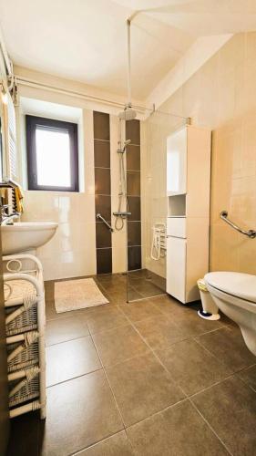 une salle de bain avec un lavabo, une douche et des toilettes dans l'établissement Gîte de France La maroussie 3 épis - Gîte de France 6 personnes MAE-5131, à Salon-la-Tour