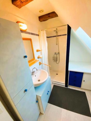 une salle de bain avec un lavabo et une douche dans l'établissement Gîte de France à Darazac 2 épis - Gîte de France 2 personnes MAE-5181, à Darazac