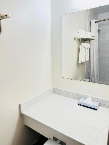 a bathroom with a sink and a mirror at Ramada by Wyndham Dawson Creek in Dawson Creek