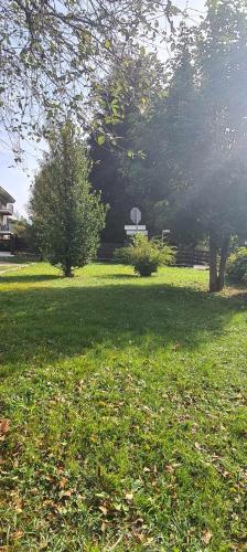 a park with a basketball hoop in the grass at Bioledro - Casa Lena in Mezzolago
