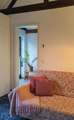 a couch with pillows on it in a room at Pension Kleiner König in Struppen-Siedlung