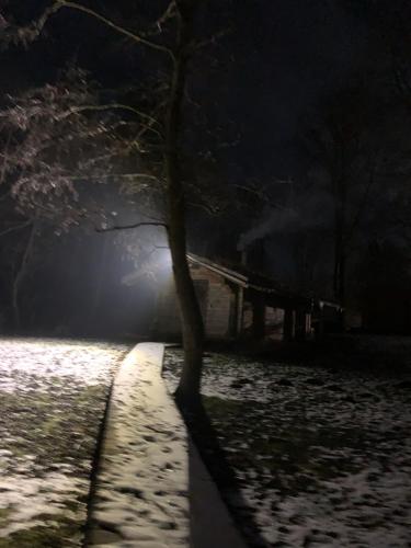 a tree in front of a house at night at Poilsis ant Virintų ežero kranto in Molėtai