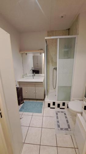 une salle de bain avec une douche, une baignoire et un lavabo dans l'établissement Cozy apartment near Paris, à Domont