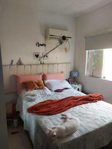 a bedroom with a bed with a cat laying on it at Apto Br 316 , a 10 min do parque da Cop30 in Ananindeua