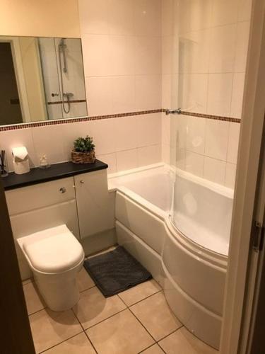 a bathroom with a toilet and a tub and a sink at Lovely Furnished Apartment 2 in Carlisle