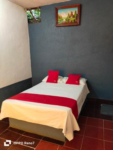 a bedroom with a large bed with red pillows at Hotel San Jose Purua in Vidalrstn