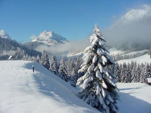 a snow covered christmas tree on a snowy mountain at Apartament Doge in Sappada